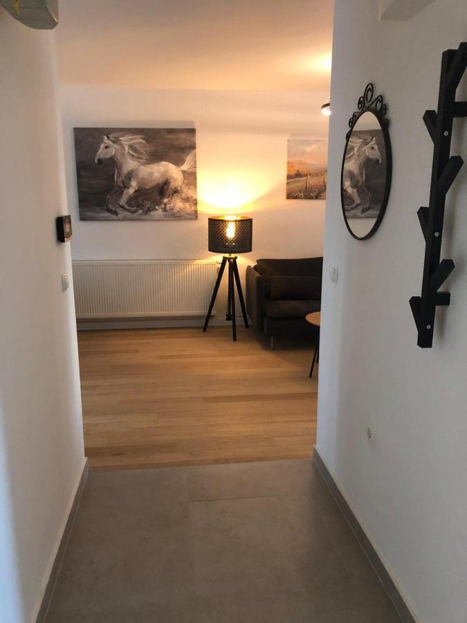 Apartment Molly Zagreb Dış mekan fotoğraf